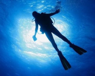 Lire la suite à propos de l’article Dive Book: Une application pour les plongeurs!