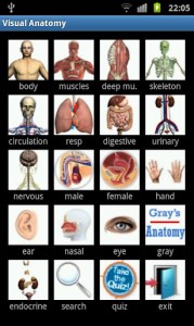 Visual Anatomy c