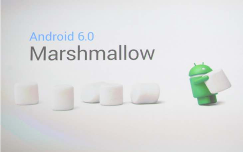 Marshmallow arrive sur Android Wear b