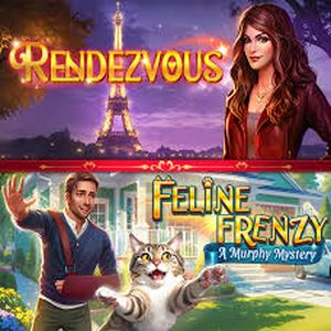 Lire la suite à propos de l’article Test et solution du jeu Rendezvous des studios Haiku Games