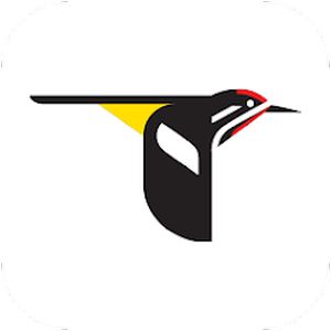 Lire la suite à propos de l’article Merlin Bird ID, L’intelligence artificielle qui parle l’oiseau