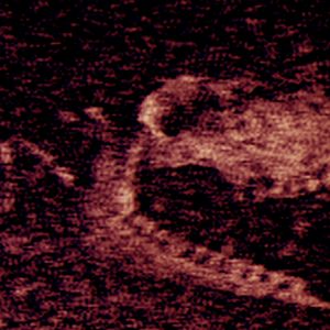 Lire la suite à propos de l’article Iron Lung – Jeu d’horreur psychologique sur Android